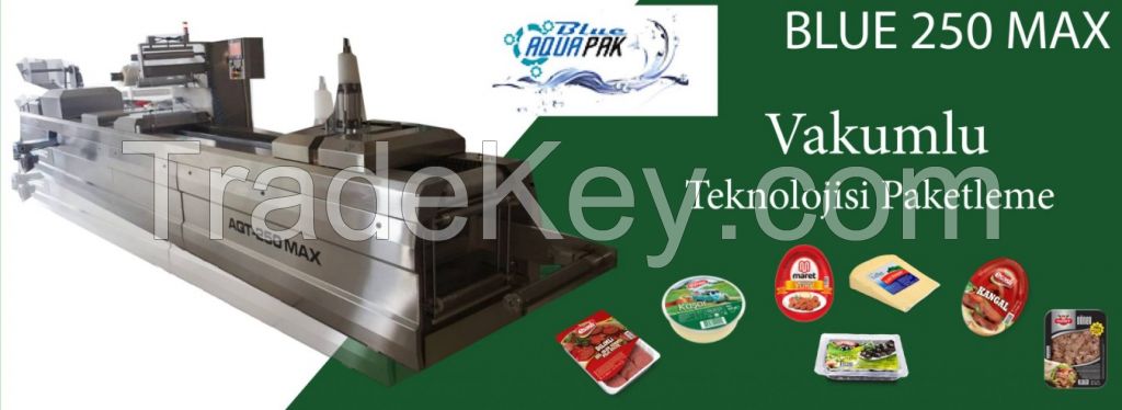 Vacuum packaging machine 