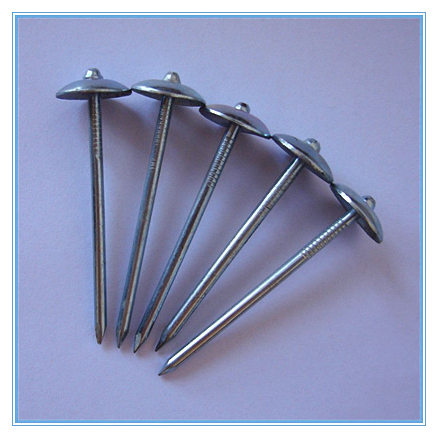 roofing nails,  iron nails,iron wire nails,