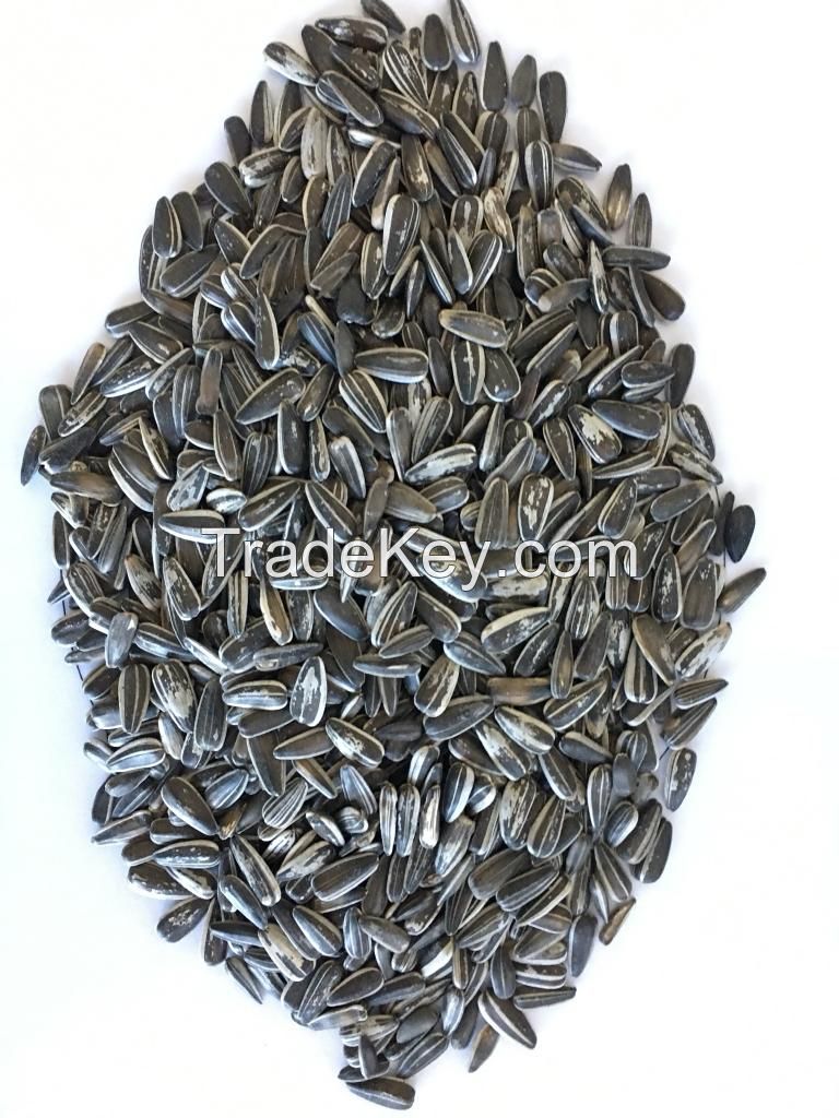 Striped sunflower seeds Badjer