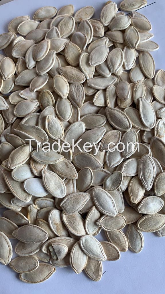 Pumpkin seeds "Shine Skin"