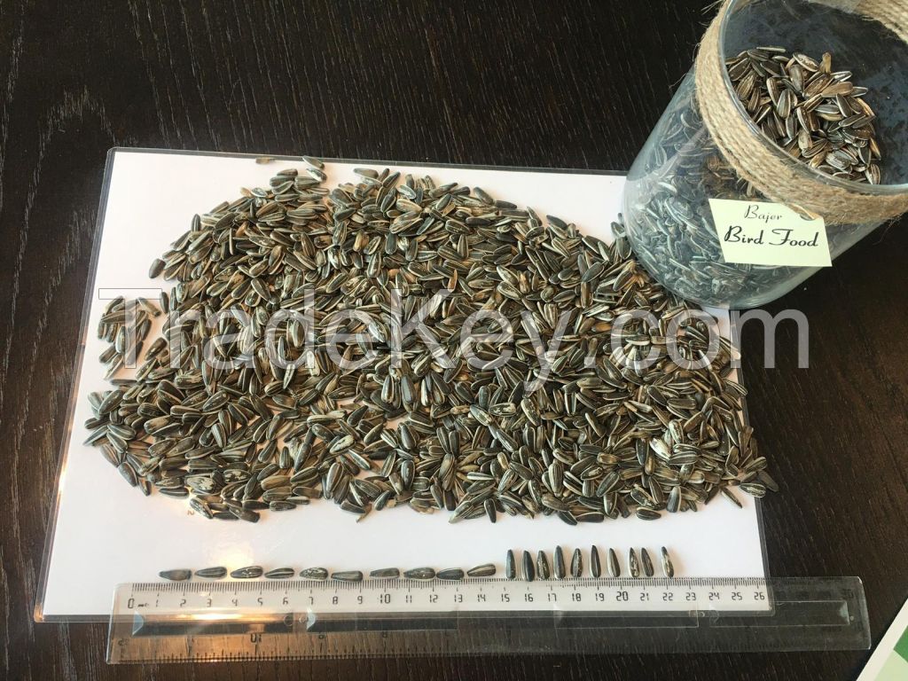 Striped sunflower seeds Badjer