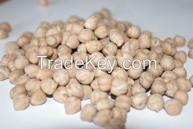 Bulgarian chickpeas