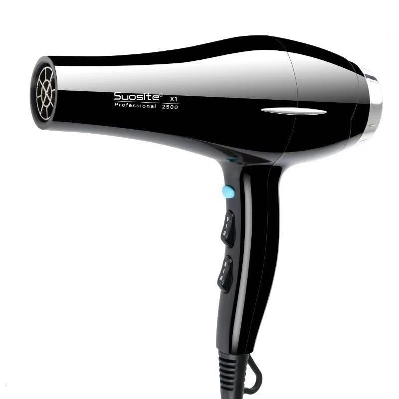 Factory Salon Household Hair Dryer Professional Hair Dryer Wholesale