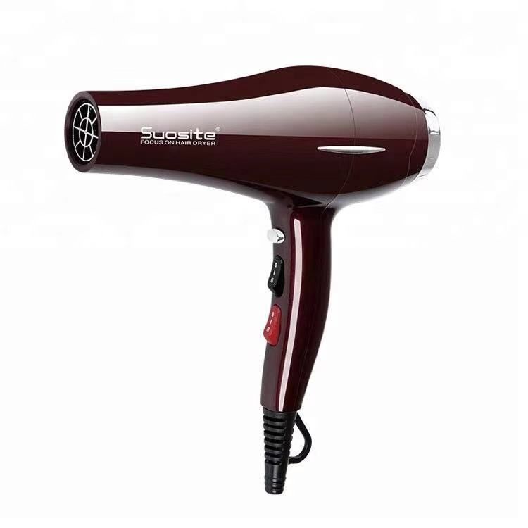 Factory Salon Household Hair Dryer Professional Hair Dryer Wholesale