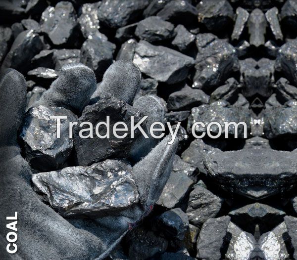 Bituminous Steam Coal