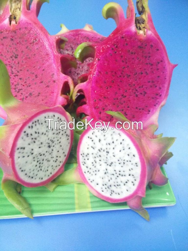 fresh dragon fruit, white and red flesh