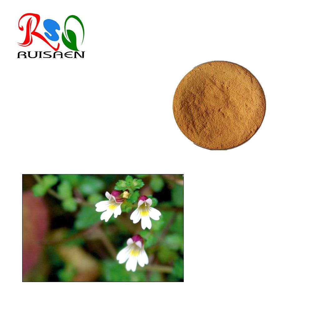 Eyebright Extract Euphrasy Euphrasia officinalis Eye protect