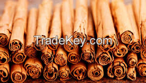 Ceylon true cinnamon