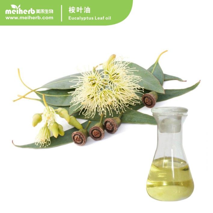 Eucalyptus Leaf oil