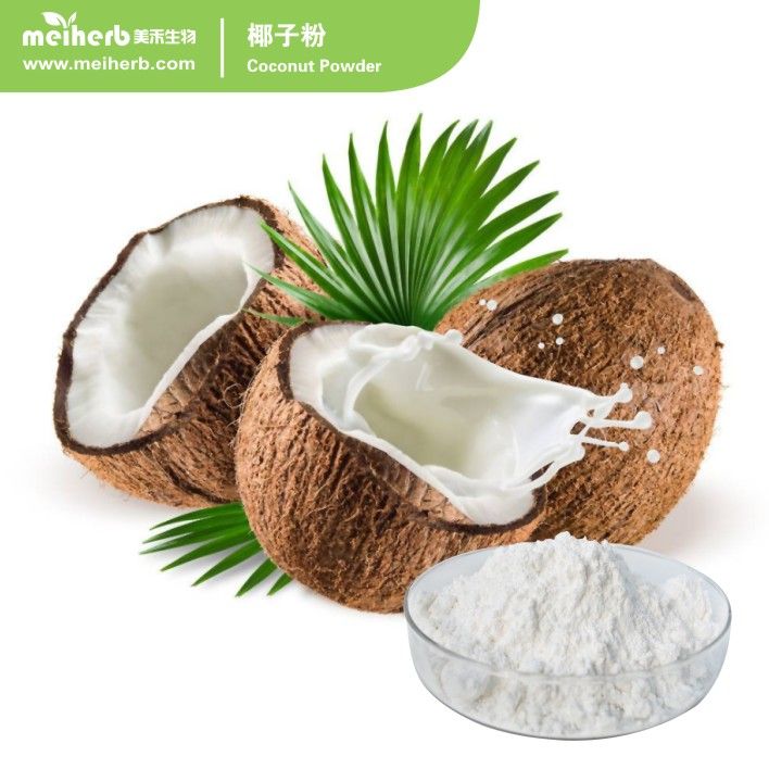 Organic Coconut Fruit Powder