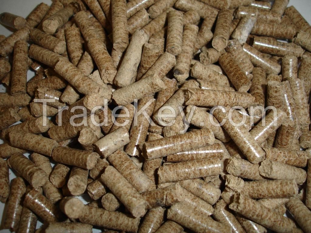 Coconut Peat Pellets