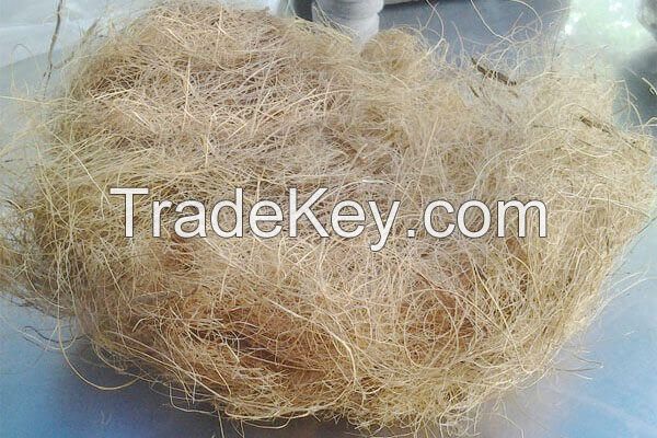 Long Coconut Fiber