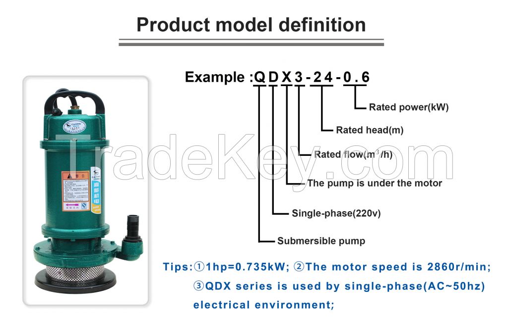 submersible pump