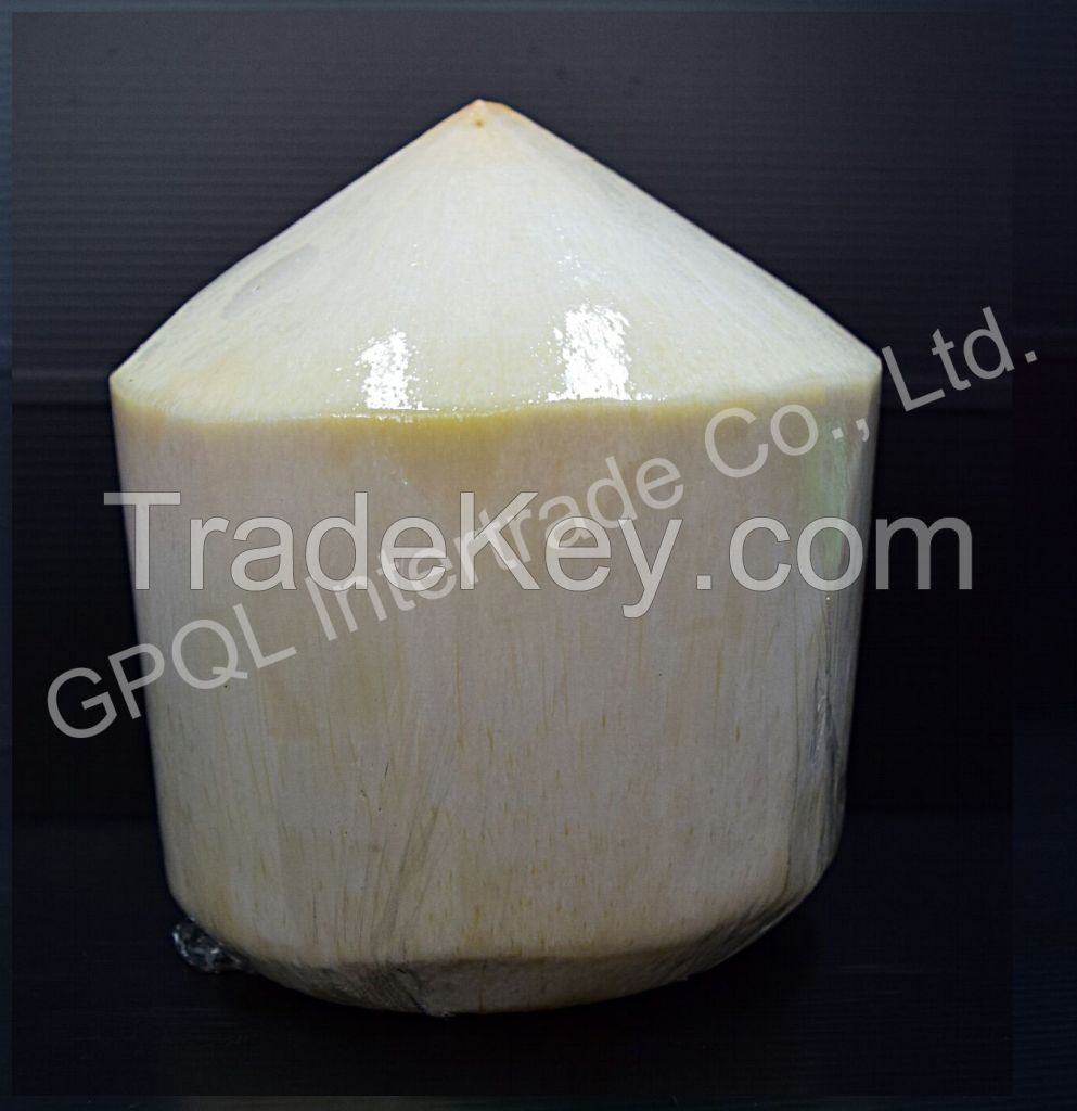 Fresh Young Coconut High Quality from Thailand