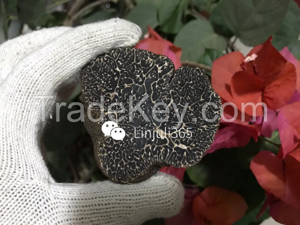 black winter truffles, summer truffles, fresh truffles, tuber melanosporum,