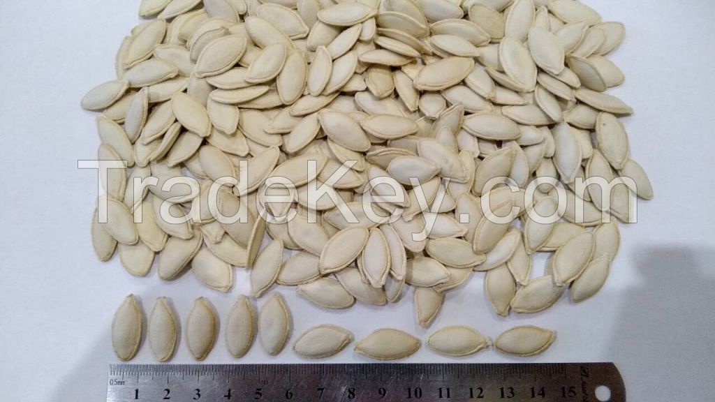 Pumpkin seeds 