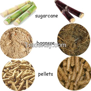 SUGARCANE BAGASSE PELLETS