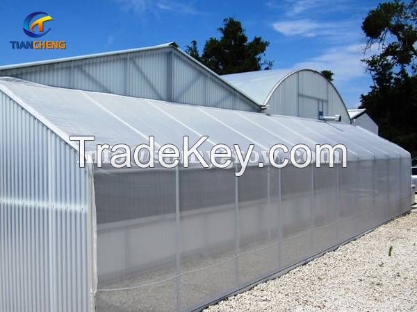 Greenhouse Insect Screen for High Planting Percent & Seedling Quality