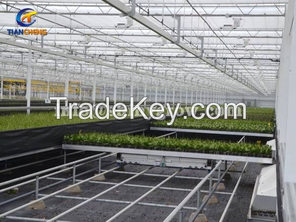 Shuttle Rolling Bench System â€“ Greenhouse Automation Solution