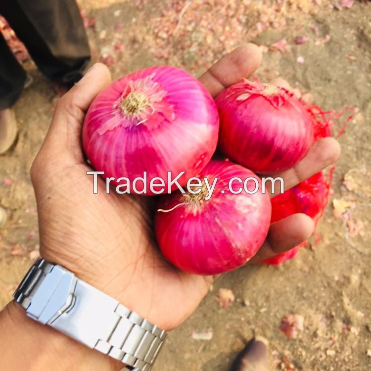 Nashik Red Onion