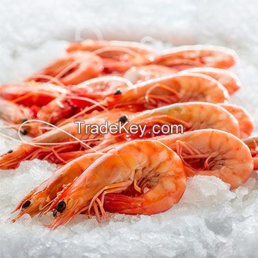 Wholesale Frozen Seafood  Prawn