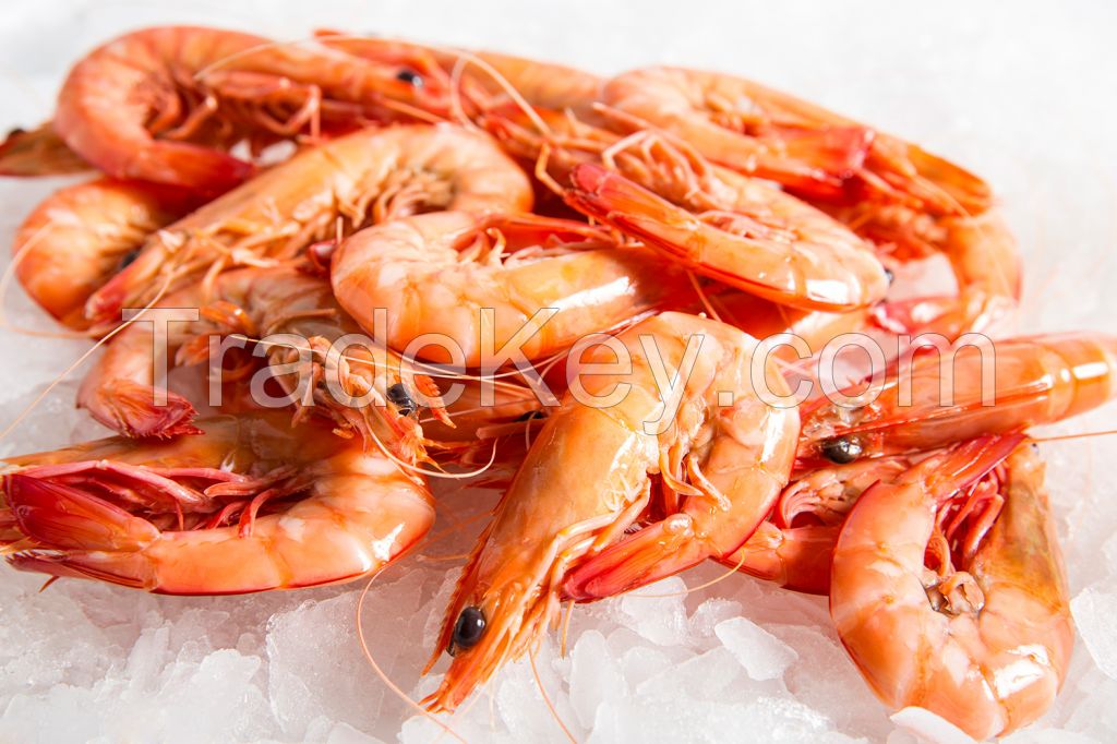 Wholesale Frozen Seafood  Prawn