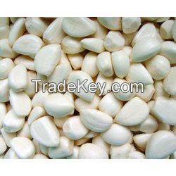 Cheapest chinese garlic size 4.5/5.0/5.5/6.0 Fresh garlic of mesh bag 