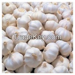 Cheapest chinese garlic size 4.5/5.0/5.5/6.0 Fresh garlic of mesh bag 