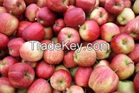 Fuji apple price on sale apple fruit fresh fuji for expor