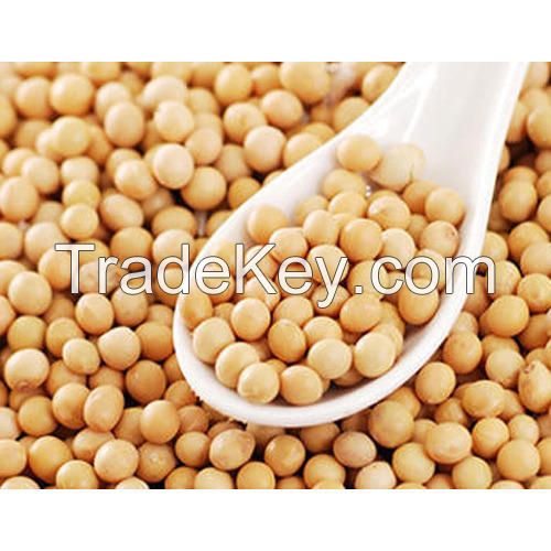 Bulk stock Soyabean/Soybean and soyabeans meal for sale