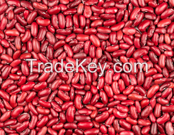 Kidney Bean bag carton jar fresh organic red bamboo kidney bean