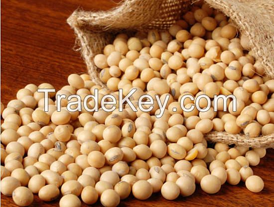 Bulk stock Soyabean/Soybean and soyabeans meal for sale