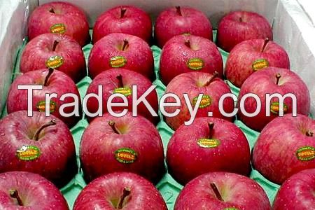 Quality Fresh Red Fuji Apple