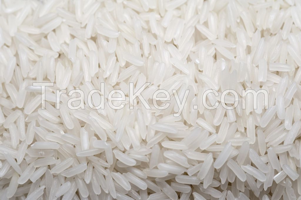 Top Quality 1121 Creamy Sella Basmati Rice price from thailand 