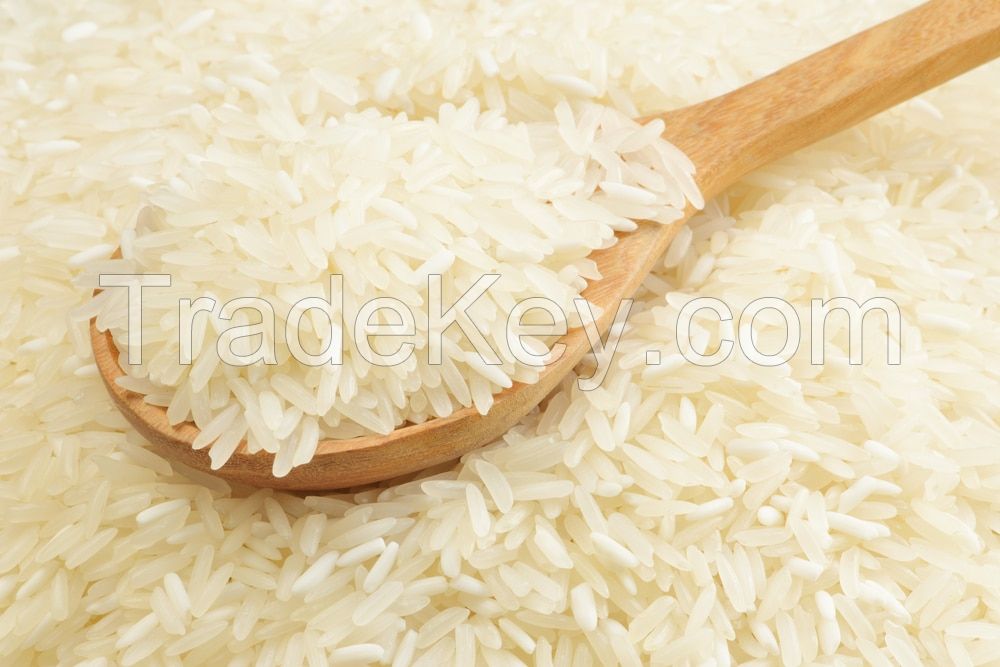 Thai Jasmine Rice for supply in bulk
