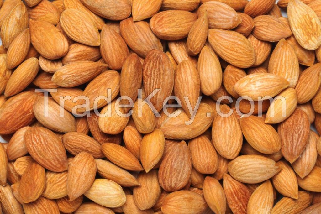 Quality Control SGS Inspected almond nuts in kernels, bitter almond/ Raw almond kernel