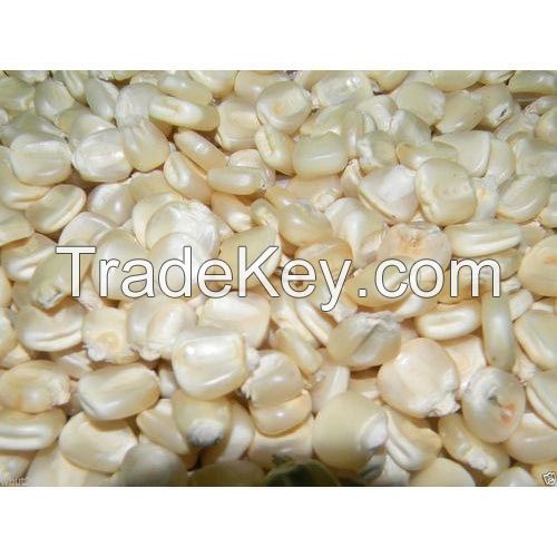 High Quality Non GMO Dried White Corn, Dried Yellow Corn, Maize