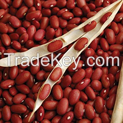 Light Red Kidney Beans Dark red kidney bean Thailand Red Kidney Beans 