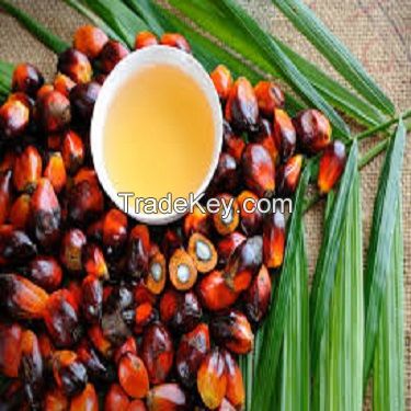 high quality palm oil made in Thailand