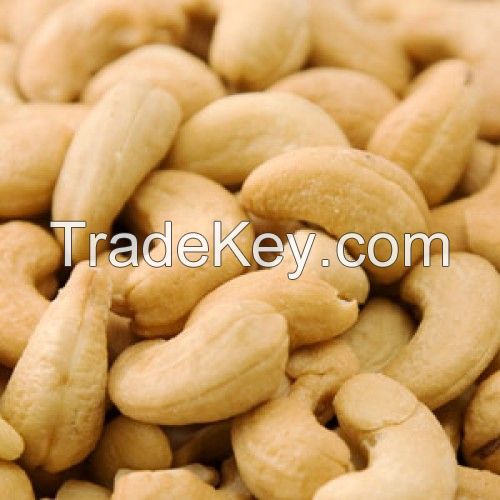 Cashew Nuts W240 W320 W450/ Favourable Price of Cashew Nut in Thailand