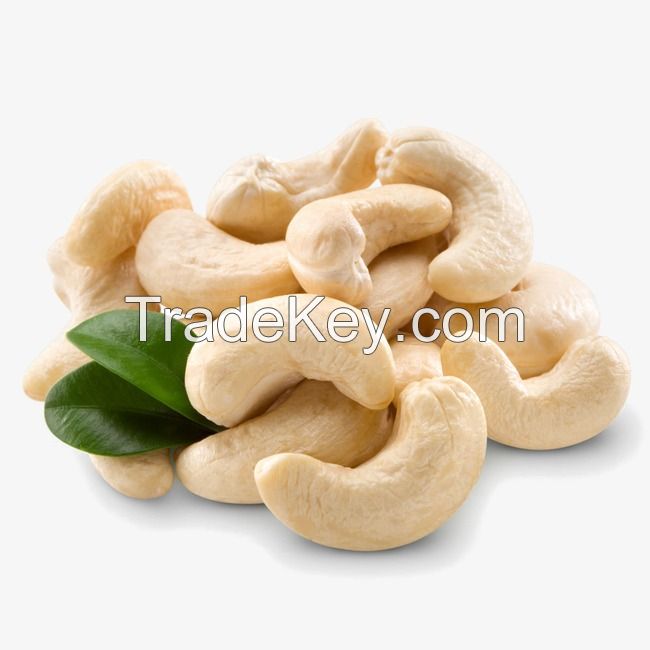 Quality Ice Cream Cashew Nuts Ww 210, Ww 320, WW240, Lp, Ws, W450, Lbw,