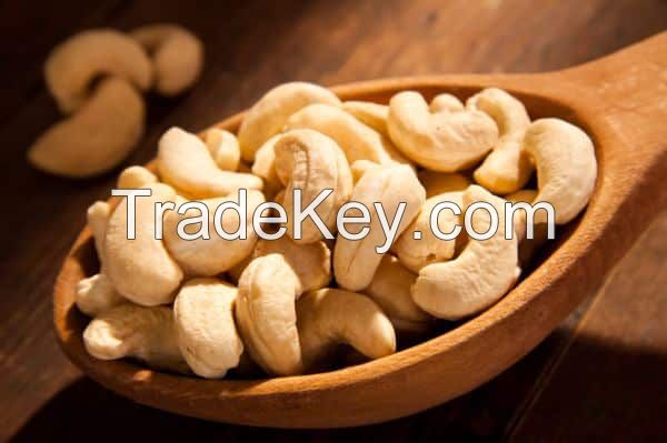 Salted Cashew Nut Kernels Sizes W180,W240,W320,W452
