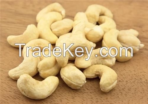 Cashew Nuts W240 W320 W450/ Favourable Price of Cashew Nut in Thailand