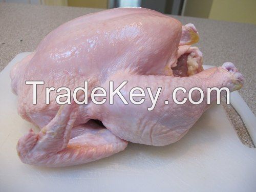 halal fresh frozen bone in whole chicken