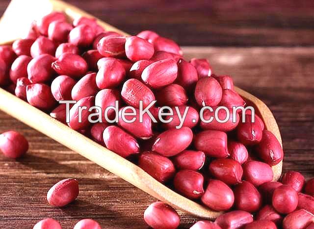 Food Ingredient Tog Grade Dehydrated Raw Red Skin Peanut Seed For Export 