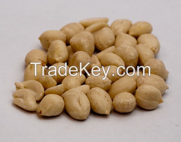 Peanut Raw in Shell/Kernels/Blanched Peanuts