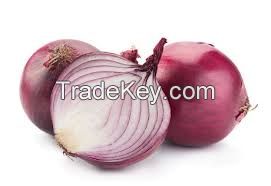 ThailandFresh Red Onions 2018 New Crop Hot Sale