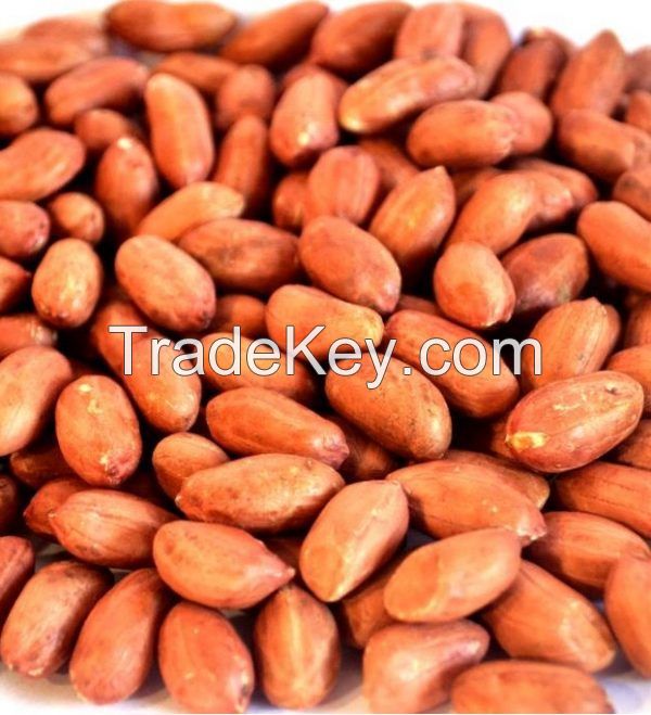 Wholesale raw organic blanched peanut for edible