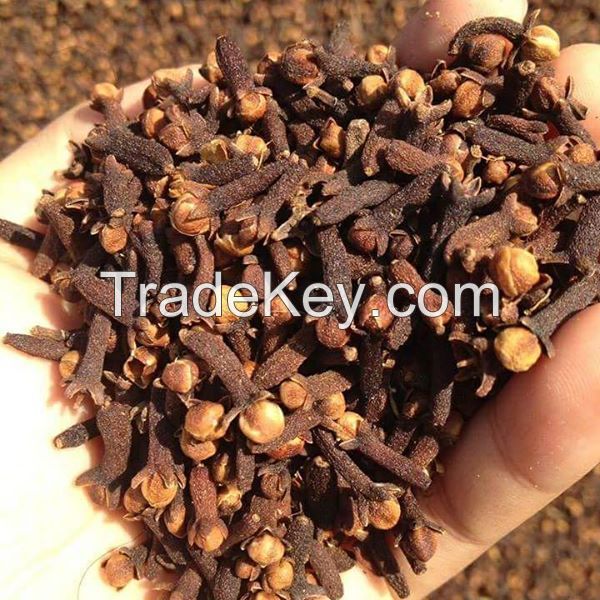 Good quality food spices dried non-sulfur Cloves spice for sale 