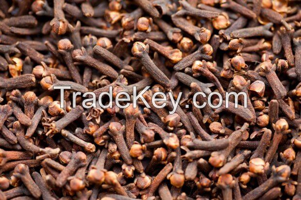 Cloves Dried Top Quality